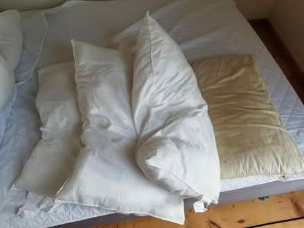 Photo of free Four pillows (New Marston OX3) #1