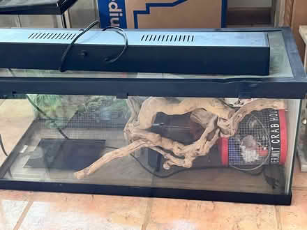 Photo of free Reptile aquarium and accessories (Halethorpe) #1
