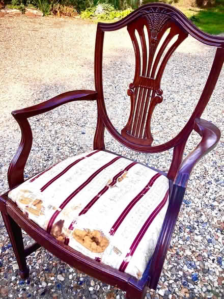 Photo of free Mahogany table and 7 chairs (IP33) #2