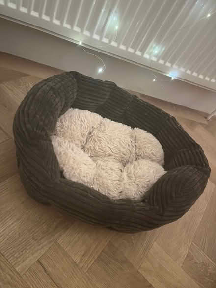 Photo of free Cat bed (Sanderstead) #1