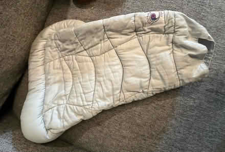 Photo of free Ergo infant insert (Petworth) #2