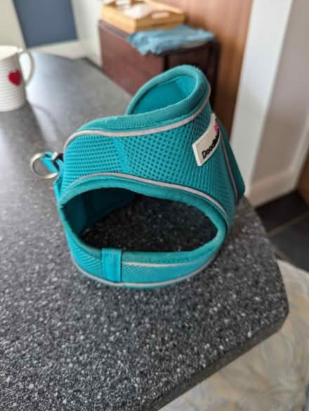 Photo of free Medium dog harness (Leicester LE3) #3
