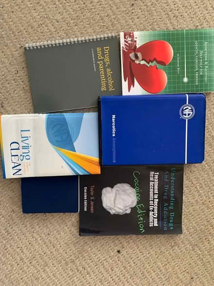 Photo of free AA, NA CA books (Addlestone KT15) #1