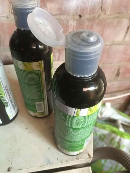 Photo of free Empty Shampoo Containers (Ashton-on-Ribble PR2) #3