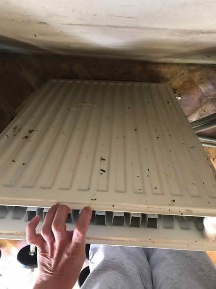Photo of free Small radiator (Whalley Range M16) #2