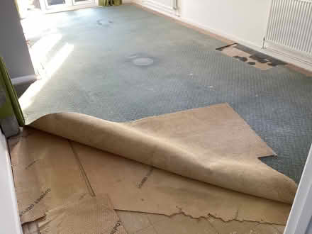 Photo of free Old Carpet about 6m x 3m (Clophill MK45) #1