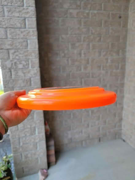Photo of free Neon Orange Frisbee (Riverside South) #2