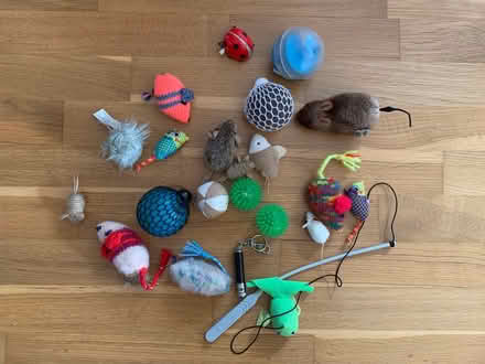 Photo of free Large selection of cat toys (Croydon centre CR0) #1