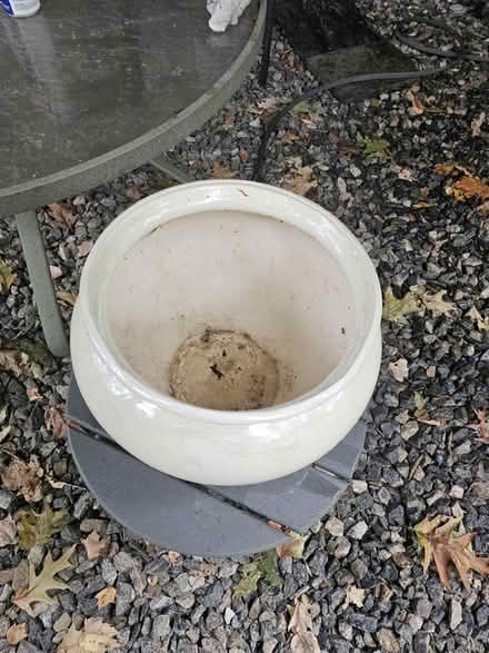 Photo of free Ceramic pot (Marlboro mass) #1