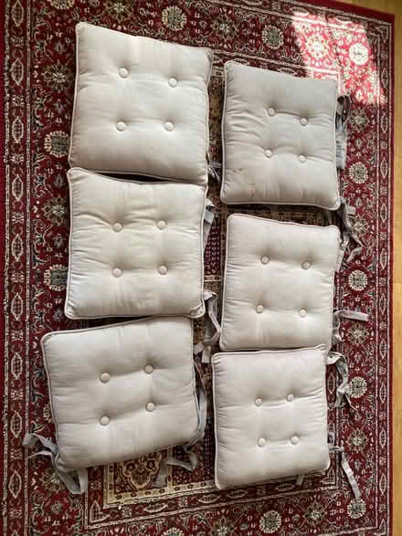 Photo of free 6 outdoor chair seat cushions (Knebworth, SG3) #1