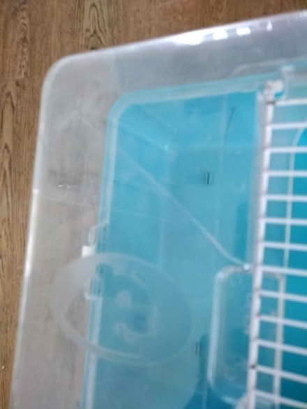 Photo of free Parts for a hamster cage (New Malden KT3) #4