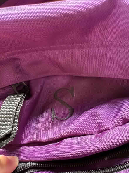 Photo of free Purple LL bean bag (Flatiron) #2