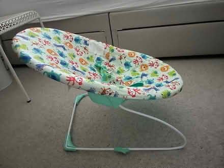 Photo of free Baby bouncer (SW9) #1