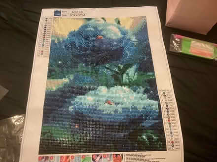 Photo of free Diamond paintings (Rickmansworth WD3) #2