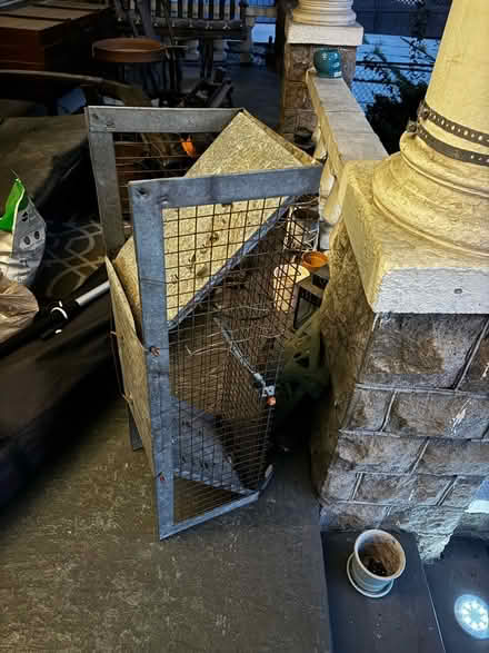 Photo of free Scrap Animal trap (Woodridge) #1