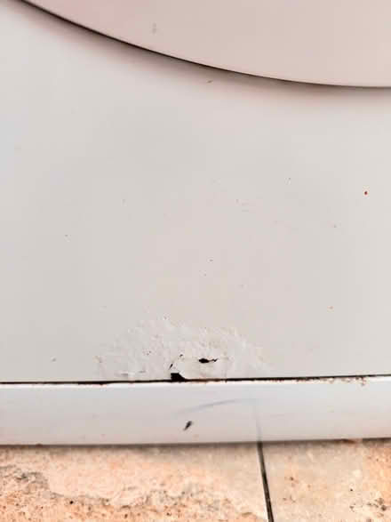Photo of free Washing machine (Studley B80) #2
