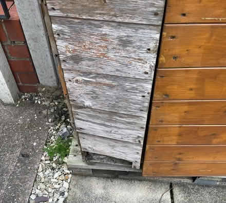 Photo of free Garden store (Claughton) #2