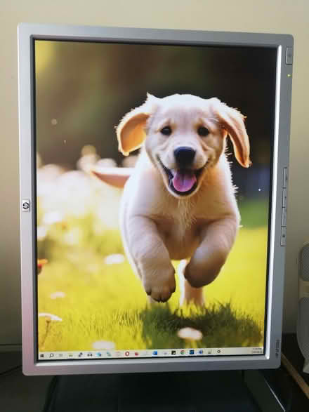 Photo of free HP monitor with rotating screen (Downtown) #2