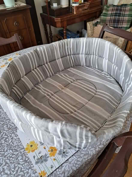 Photo of free small dog bed (Gosport PO13) #1