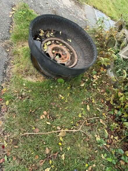 Photo of free Planter made from a recycled tyre (North Hinksey OX2) #2