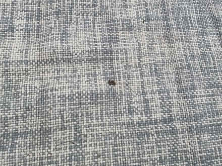 Photo of free Grey and cream rug (Chingford) #2