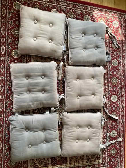 Photo of free 6 outdoor chair seat cushions (Knebworth, SG3) #2