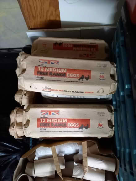 Photo of free Empty egg boxes (St. Albans AL1) #1