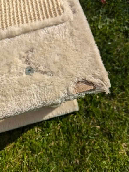 Photo of free Cat Tree (Lansdown) #3