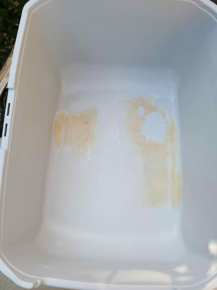 Photo of free Catit cat tray (Hellesdon, Norwich) #2