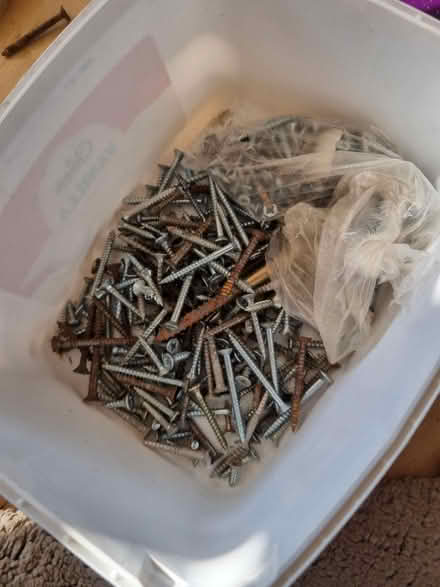 Photo of free Philips screws (Basildon SS13) #1