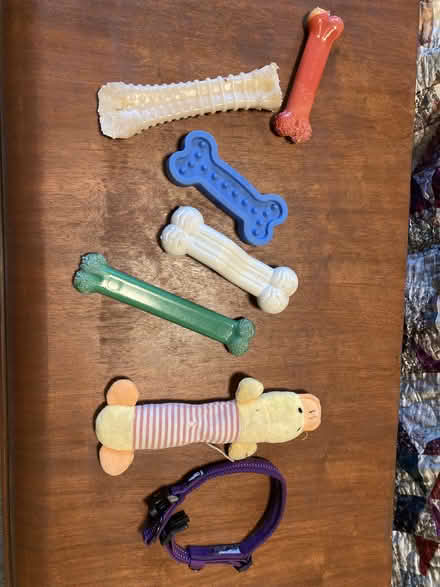 Photo of free Dog toys/bones, assorted (Alameda - East Side) #1