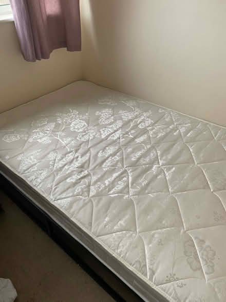 Photo of free Queen sized bed (Malvern WR14) #1