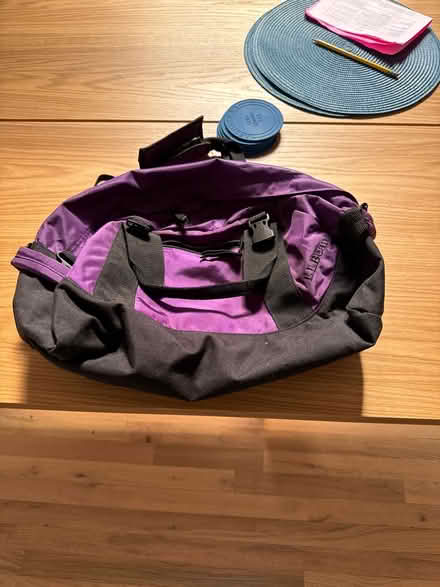 Photo of free Purple LL bean bag (Flatiron) #1
