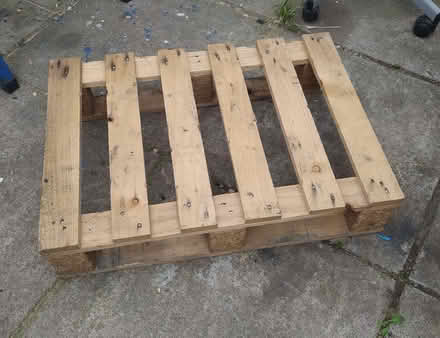 Photo of free Small Pallet (Fishponds BS16) #1