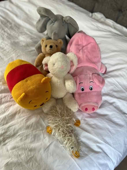 Photo of free Soft toys (Penrith CA11) #1