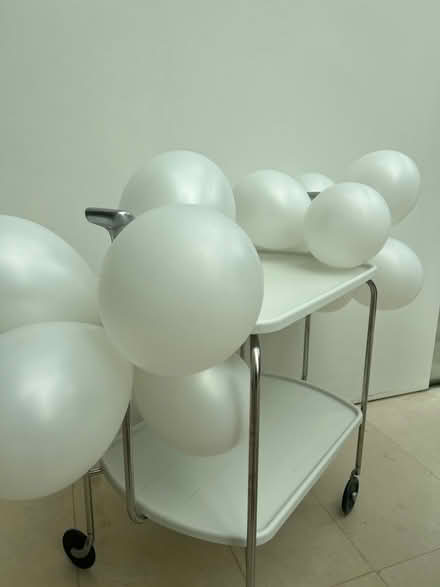 Photo of free 12 white balloons (Chiswick) #1