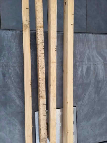 Photo of free 4x 1.2m timber (EN5) #3