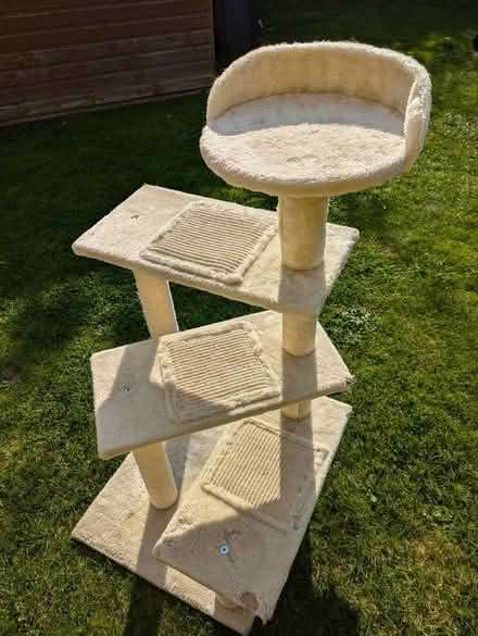 Photo of free Cat Tree (Lansdown) #2