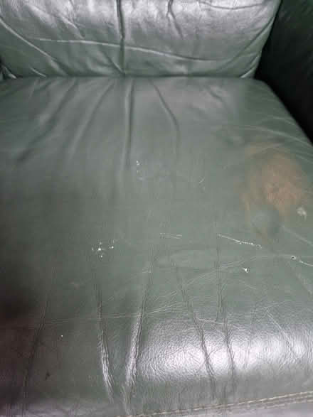 Photo of free Green leather armchair (Manston LS15) #3
