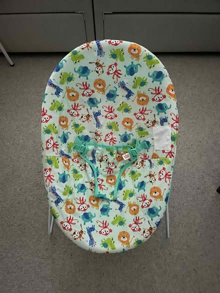 Photo of free Baby bouncer (SW9) #2