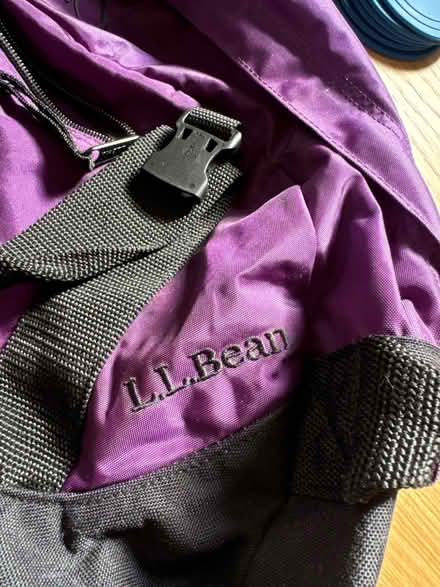 Photo of free Purple LL bean bag (Flatiron) #3