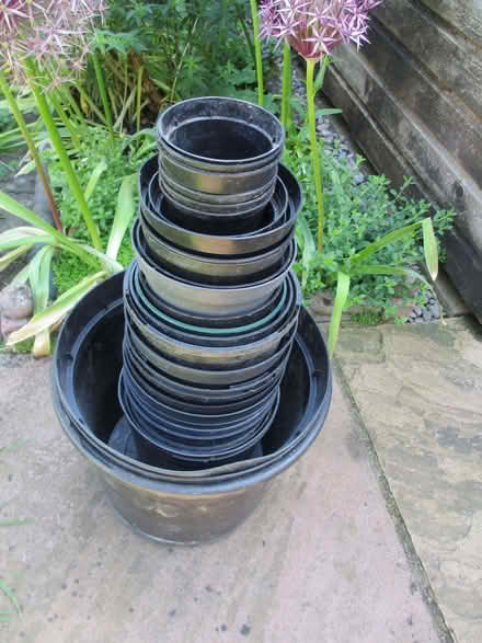 Photo of free A selection of black plastic plant pots (Bernards Heath AL3) #1