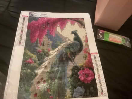 Photo of free Diamond paintings (Rickmansworth WD3) #1