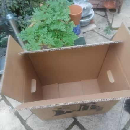 Photo of free Large box (Leicester) #3