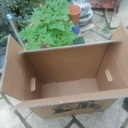 Photo of free Large box (Leicester) #3