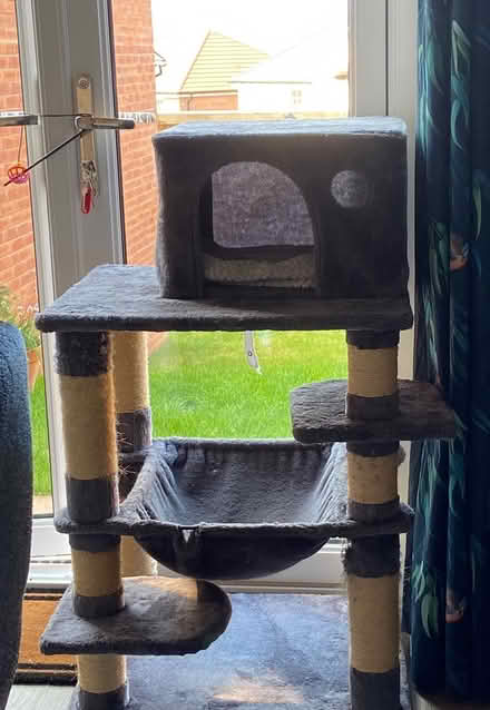 Photo of free Cat tower (Paignton) #1