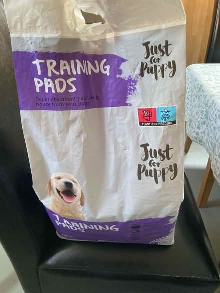 Photo of free Puppy training pads BR3 (Langley Court BR3) #1