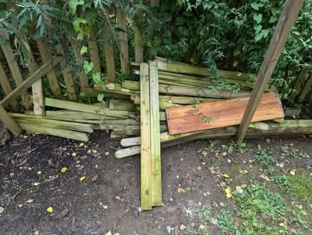 Photo of free Picket Fencing (HR9) #1
