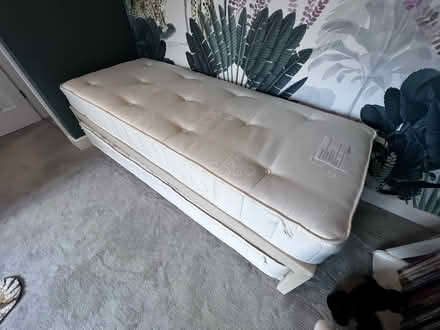 Photo of free John Lewis newton guest bed (Stockport SK7) #1