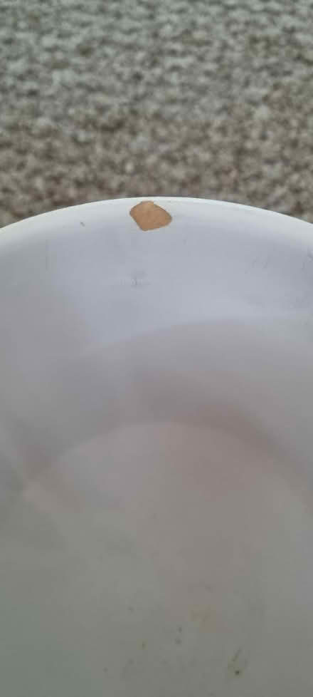 Photo of free Purple plant pot (Tunbridge Wells, St James) #4